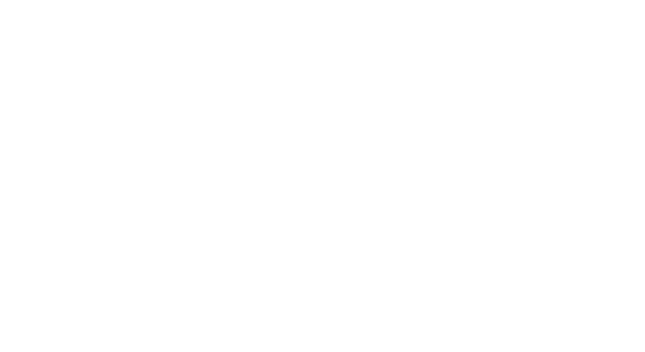 marketing agency she socially