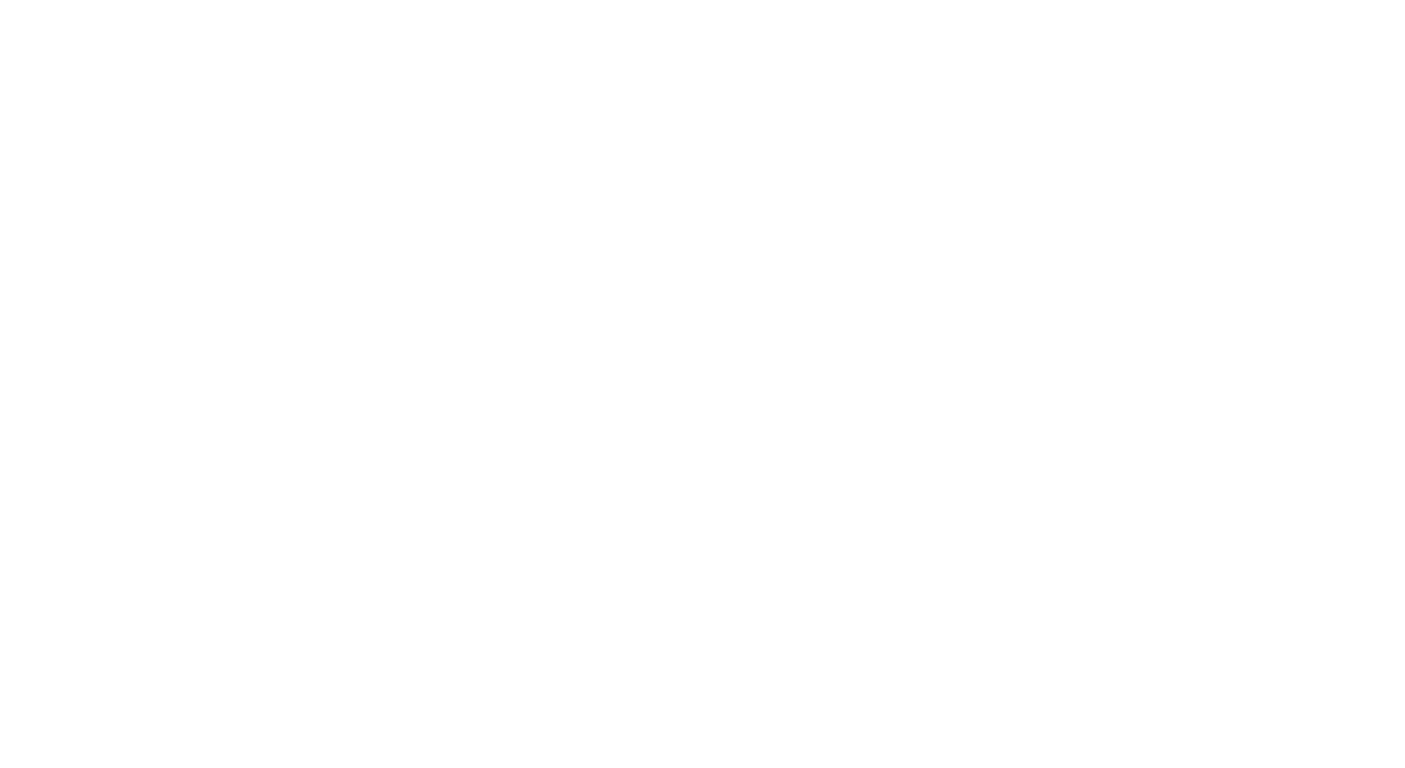 marketing agency she socially